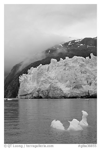 Icerberg at the base of Margerie Glacier. Glacier Bay National Park, Alaska, USA.