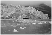 Icebergs and blue ice face of Margerie Glacier. Glacier Bay National Park, Alaska, USA. (black and white)