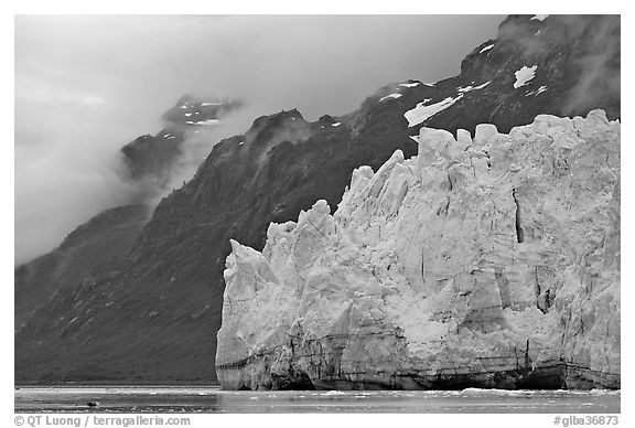 Terminal front of Margerie Glacier with blue ice. Glacier Bay National Park (black and white)