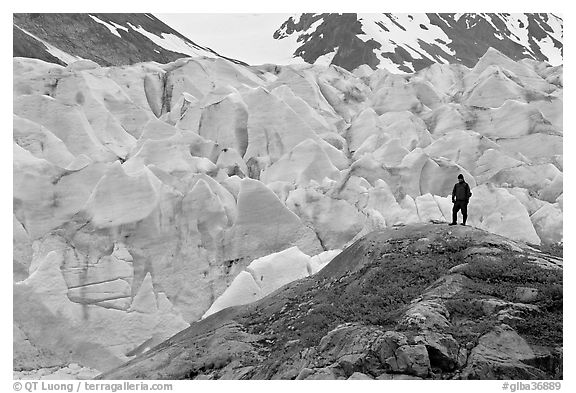 Hiker on a hill below Reid Glacier. Glacier Bay National Park, Alaska, USA.