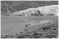 Beach and Reid Glacier. Glacier Bay National Park ( black and white)