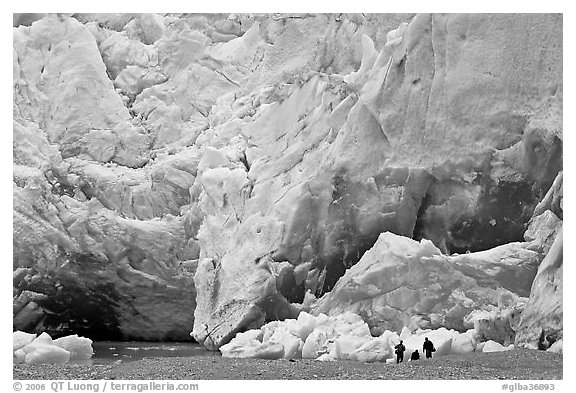 People at the base of Reid Glacier. Glacier Bay National Park (black and white)