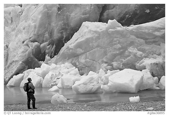 Hiker looking at ice wall at the front of Reid Glacier. Glacier Bay National Park (black and white)
