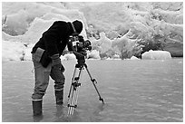Cameraman standing in water at the base of Reid Glacier. Glacier Bay National Park ( black and white)