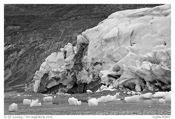 Stranded icebergs on beach and Reid Glacier terminus. Glacier Bay National Park (black and white)