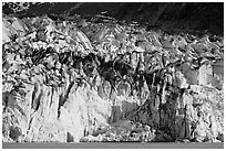 Tidewater ice front of Lamplugh glacier. Glacier Bay National Park ( black and white)
