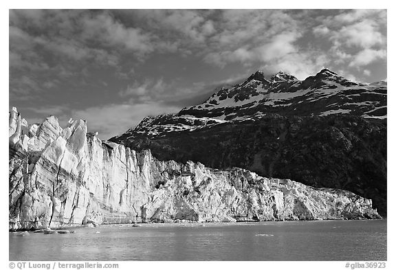 Lamplugh glacier and Mt Cooper, late afternoon. Glacier Bay National Park (black and white)