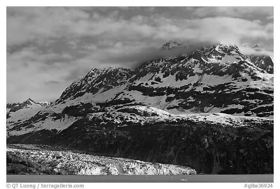 Mt Cooper and Lamplugh glacier, late afternoon. Glacier Bay National Park (black and white)