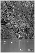 Waterfall, Tarr Inlet. Glacier Bay National Park ( black and white)