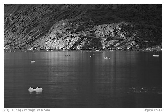 Icebergs and spot of sunlight on slopes around Tarr Inlet. Glacier Bay National Park (black and white)