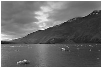 Icebergs in Tarr Inlet, sunset. Glacier Bay National Park ( black and white)