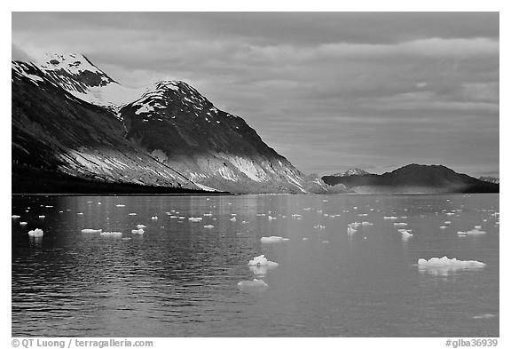 Tarr Inlet and icebergs with the last light of sunset. Glacier Bay National Park (black and white)