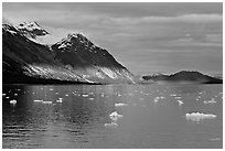 Tarr Inlet and icebergs with the last light of sunset. Glacier Bay National Park, Alaska, USA. (black and white)
