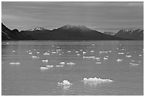 Icebergs and last light on mountain, Tarr Inlet, sunset. Glacier Bay National Park, Alaska, USA. (black and white)