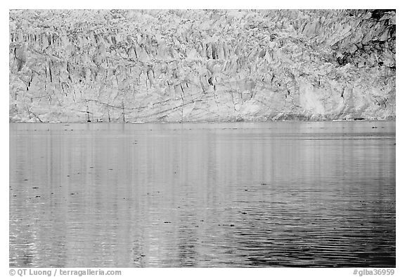 Golden reflections and blue ice of Margerie Glacier. Glacier Bay National Park (black and white)