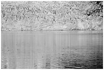 Golden reflections and blue ice of Margerie Glacier. Glacier Bay National Park ( black and white)