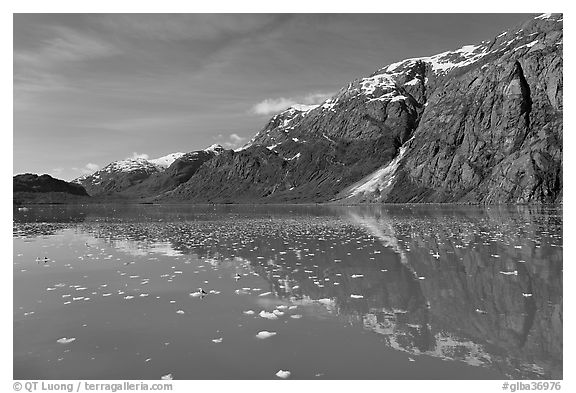 Icebergs and reflections in Tarr Inlet. Glacier Bay National Park, Alaska, USA.