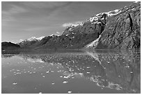 Icebergs and reflections in Tarr Inlet. Glacier Bay National Park, Alaska, USA. (black and white)