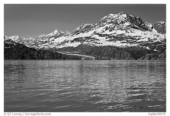 Mount Cooper and Lamplugh Glacier, reflected in rippled waters of West Arm, morning. Glacier Bay National Park (black and white)