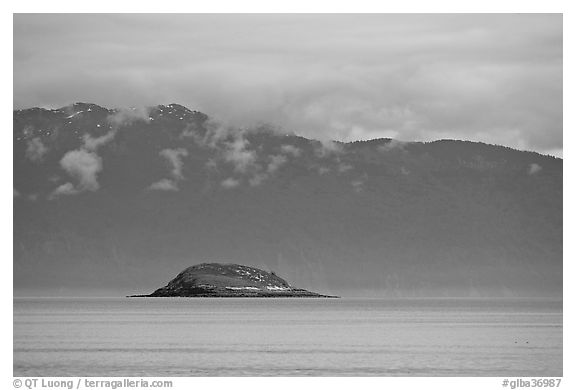 Green Island in blue seascape. Glacier Bay National Park (black and white)