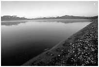 Bear tracks, Naknek lake. Katmai National Park, Alaska, USA. (black and white)