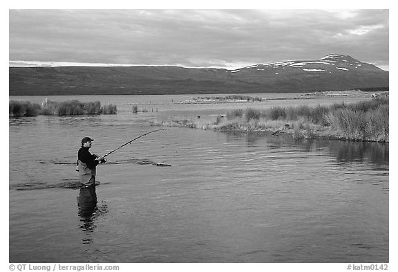 Man fishing for salmon in the Brooks river. Katmai National Park, Alaska, USA.