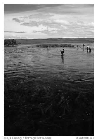 Fishermen in the Brooks river. Katmai National Park (black and white)