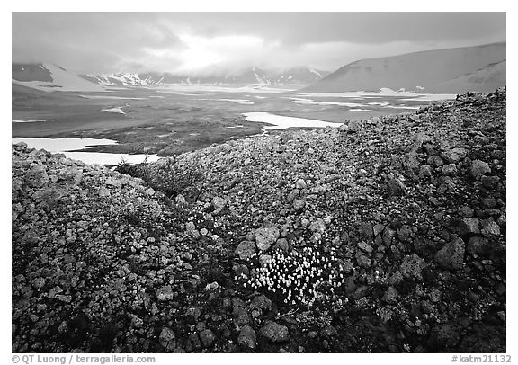 Wildflowers, pumice, and distant peaks in storm, Valley of Ten Thousand smokes. Katmai National Park (black and white)