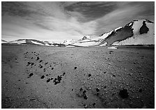 Rare plants growing out of the ash of Valley of Ten Thousand smokes. Katmai National Park ( black and white)