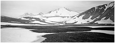 Lichens, snow patches, and snowy peaks. Katmai National Park (Panoramic black and white)