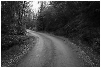 Road between Brooks Camp and Lake Brooks. Katmai National Park ( black and white)