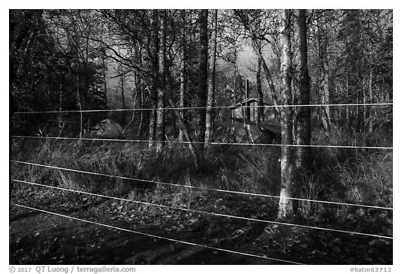 Brooks Camp campground surrounded with electric fence. Katmai National Park (black and white)