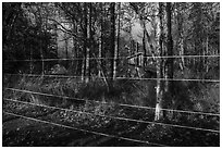 Brooks Camp campground surrounded with electric fence. Katmai National Park ( black and white)