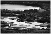 Footbridge over Brooks River from above. Katmai National Park ( black and white)