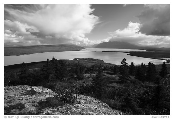 High view of Naknek Lake from treeline. Katmai National Park (black and white)
