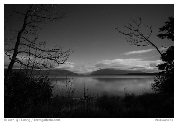Naknek Lake at night, framed by trees. Katmai National Park (black and white)