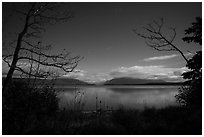 Naknek Lake at night, framed by trees. Katmai National Park ( black and white)