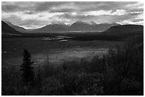 Shaft of light over tundra meadow downstream of Valley of Ten Thousand Smokes. Katmai National Park ( black and white)