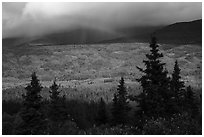 Rainbow over valley in autumn foliage. Katmai National Park ( black and white)