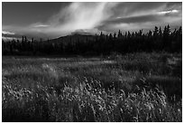 Grasses and mountain in autumn. Katmai National Park ( black and white)