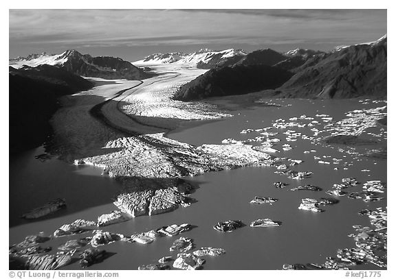 Aerial view of the front of Bear Glacier. Kenai Fjords National Park, Alaska, USA.