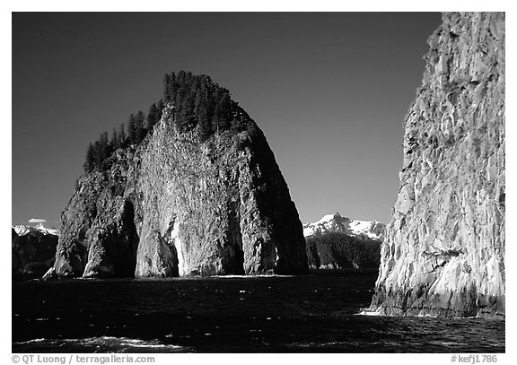 Islands in Aialik Bay. Kenai Fjords National Park (black and white)