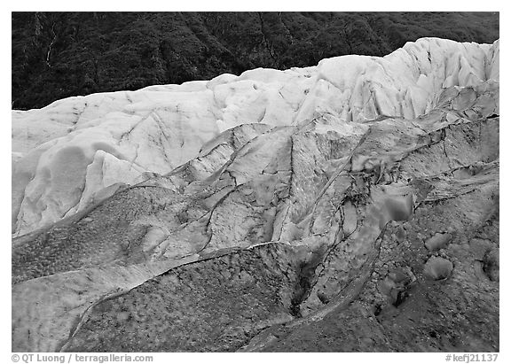 Grey ice, blue ice, Exit Glacier and forest. Kenai Fjords National Park (black and white)
