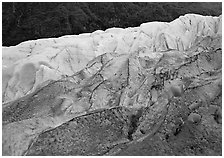 Grey ice, blue ice, Exit Glacier and forest. Kenai Fjords National Park ( black and white)