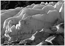 Exit Glacier. Kenai Fjords  National Park ( black and white)