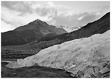 Exit Glacier and mountains at sunset. Kenai Fjords  National Park ( black and white)
