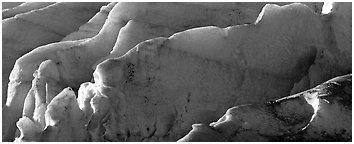 Ice fins on Exit Glacier. Kenai Fjords National Park (Panoramic black and white)