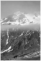 Glacier, and cloud hanging at mid-height of peak. Kenai Fjords National Park ( black and white)