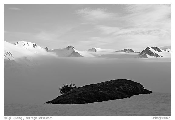 Patch of grass emerging from snow cover and mountains. Kenai Fjords National Park (black and white)