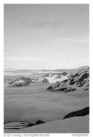 Snowy mountains and see of clouds at sunset. Kenai Fjords National Park (black and white)